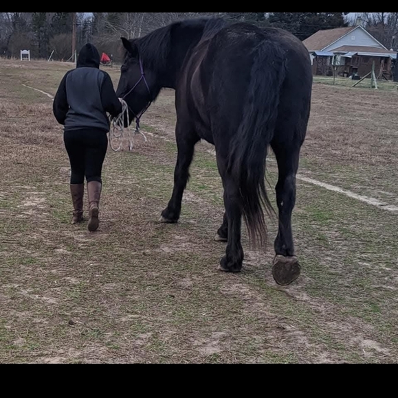 I Love A bargain & Passing It On. You Never Know What You May Find In My Closet - Picture 6 of 7